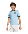 adidas DFB Deutschland 125th Anniversary Torwarttrikot Kids Blau - blau