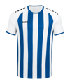 JAKO Inter Trikot Weiss Blau F012 - weiss