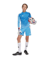 adidas Tiro 25 Competition Torwarttrikot Kids Blau - blau