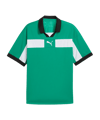 PUMA teamCLASSIC Match Trikot Grün F05 - gruen