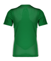 Nike Park Derby IV Trikot Kids Grün F302 - gruen