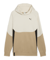 PUMA Tech Fleece Hoody Braun F83 - braun