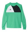 adidas Assita 17 langarm Shirt Kids Grün Weiss - gruen