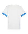 PUMA teamGOAL Matchday Trikot Weiss Blau F12 - weiss