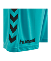 Hummel Core GK Torwarttrikotset Kids Blau F7905 - blau