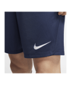 Nike Park III Short Blau F410 - blau