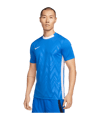 Nike Challenge V Trikot Blau Weiss F463 - blau