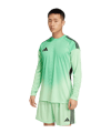 adidas Tiro 25 Competition Torwarttrikot Grün - gruen