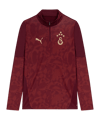 PUMA Galatasaray Istanbul Training 1/4 Zip Sweatshirt Rot F03