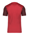 Nike Dri-FIT Trophy 5 Trikot Rot F657 - rot
