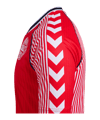hummel DBU Dänemark 86 Replica Trikot Rot F3148 - rot