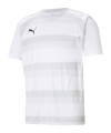 PUMA teamVISION Trikot Weiss Grau F04 - weiss