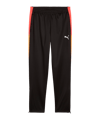 PUMA IndividualLIGA Trainingshose Kids Schwarz F07 - schwarz