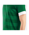 JAKO Celtic Melange KA Trikot Grün F200 - gruen
