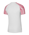 Nike Academy Trikot Weiss Rot F100 - weiss