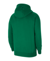 Nike Park 20 Fleece Hoody | Grün Weiss F302 - gruen