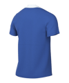 Nike Academy Pro 24 Trainingsshirt Blau Weiss F465 - blau