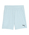 PUMA teamGOAL Short Blau F39 - blau