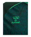 hummel SV Werder Bremen Pre Game Trikot 2026/2027 Grün F6228 - gruen