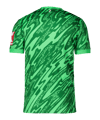 Nike SC Freiburg Torwarttrikot 2025/2026 Grün F329 - gruen