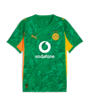 PUMA Borussia Dortmund SS Torwarttrikot 2025/2026 Grün F98 - gruen