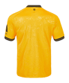 JAKO Dynamo Dresden Trikot Home 2025/2026 Gelb F307 - gelb