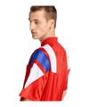 adidas FC Bayern München EQT Trikot Rot - rot