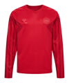 Hummel DBU Dänemark Trikot langarm Home WM 2022 Kids Rot F3365 - rot