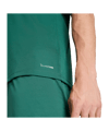 adidas Entrada 26 Trikot Grün - gruen