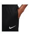Nike Park 20 Trainingshose Schwarz F010 - schwarz