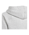 adidas Tiro 24 Hoody Kids Grau Weiss - grau