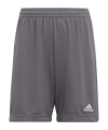 adidas Entrada 22 Short | Grau - grau
