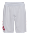 hummel DBU Dänemark Short Home 2026 Weiß F9001 - weiss