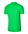 Nike Academy 23 Poloshirt Grün F329 - gruen