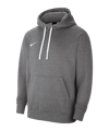 Nike Park 20 Fleece Hoody | Grau Weiss F071 - grau