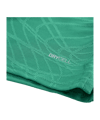 PUMA teamFINAL26 Knit Trikot Grün F05 - gruen