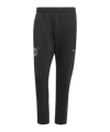 adidas Juventus Turin NASA Trainingshose Schwarz - schwarz