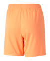 PUMA teamLIGA Short Kids Gelb Schwarz F21 - gelb