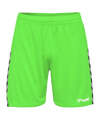 Hummel Authentic Poly Short Grün F6750 