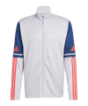 adidas Squadra 25 Trainingsjacke Grau - grau