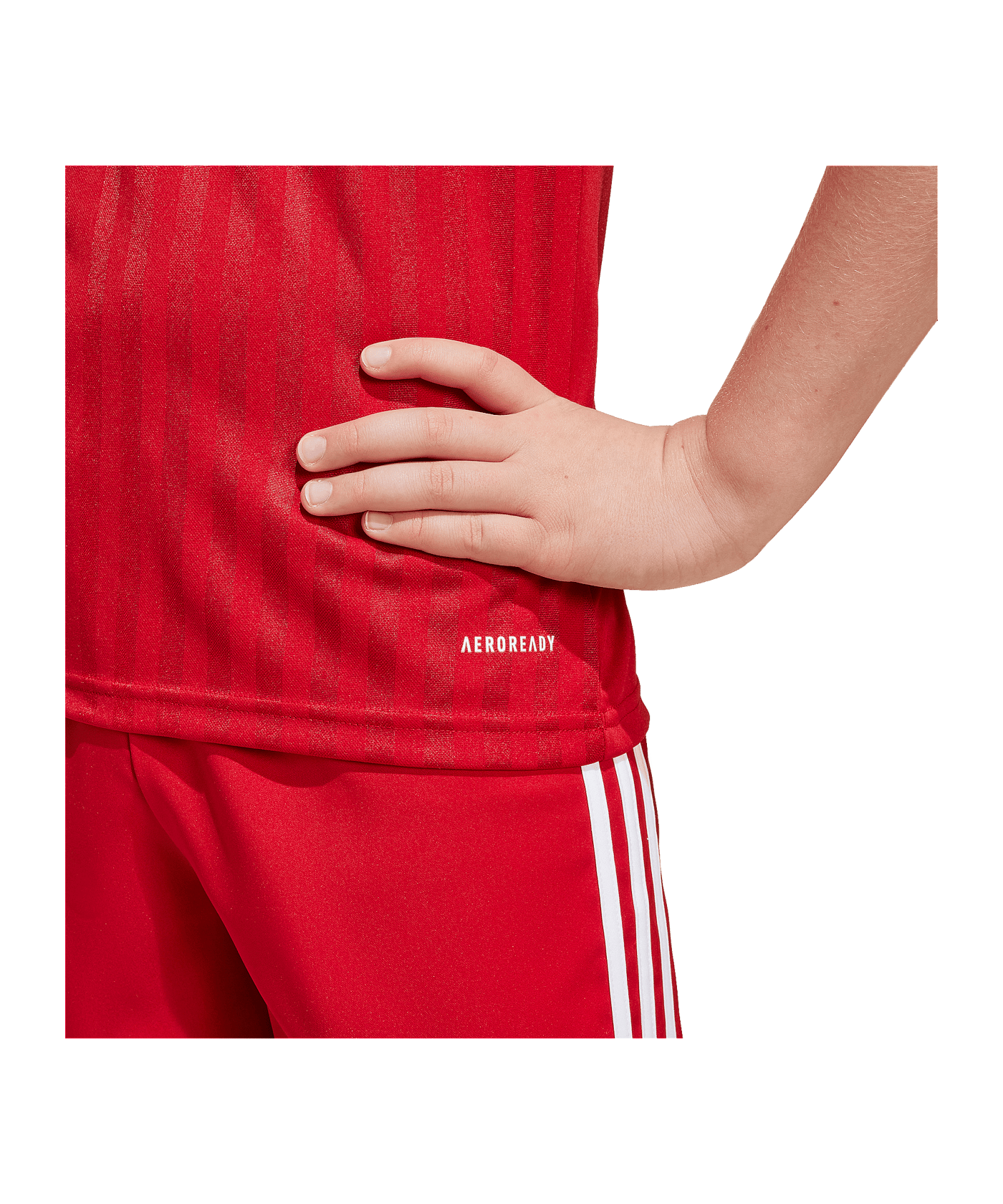 adidas Campeon 25 Trikot Kids Rot - rot