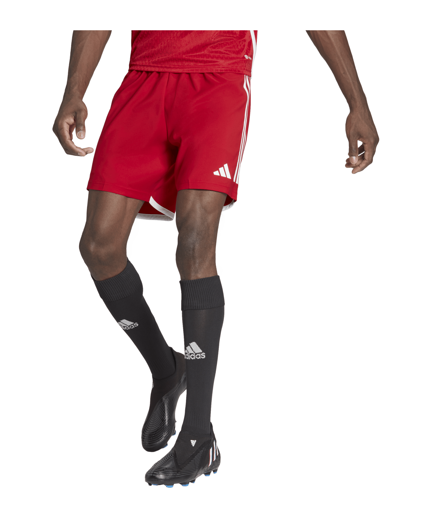 adidas Tiro 23 Competition Match Short Rot Weiss - rot