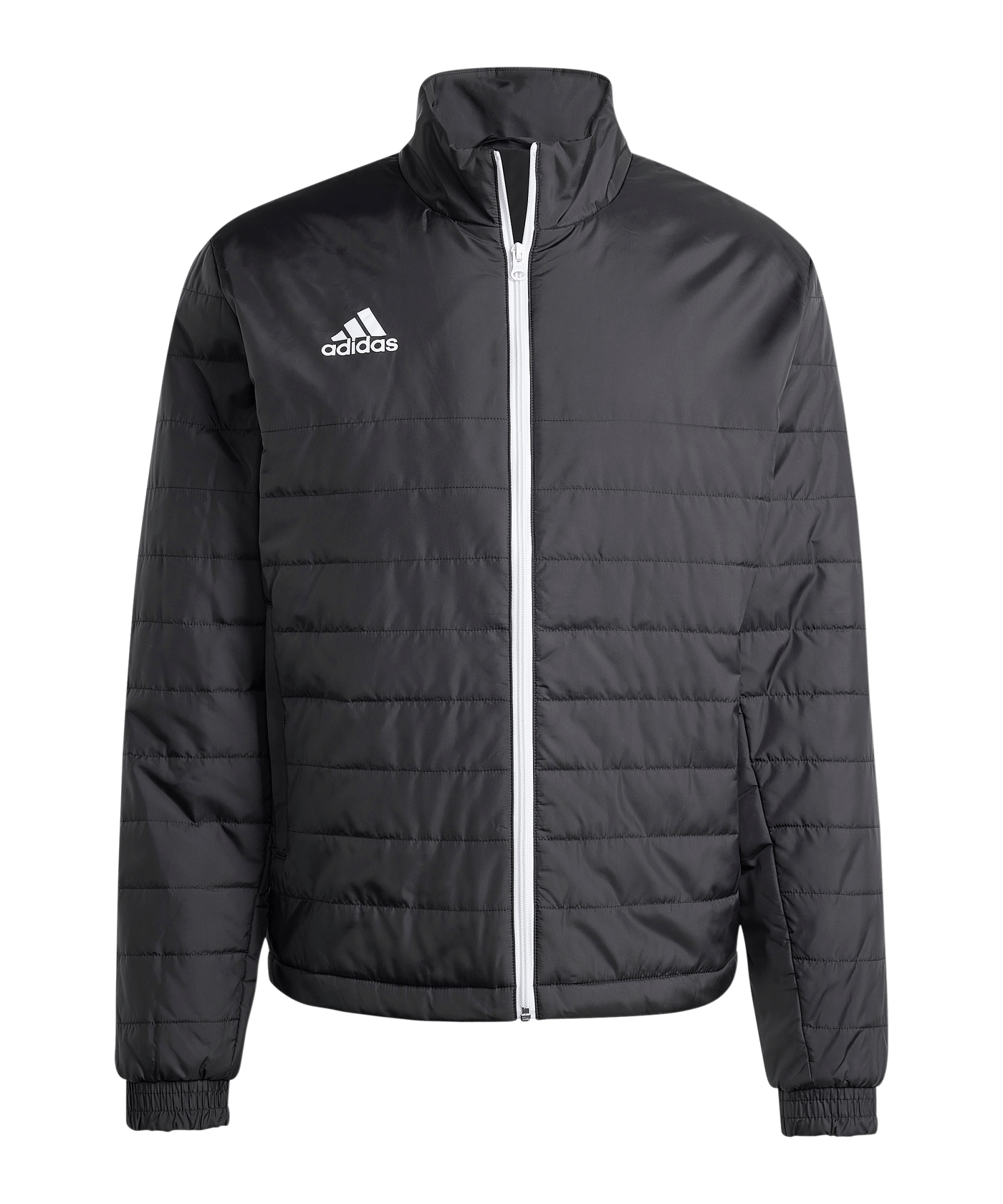 adidas Entrada 22 Winterjacke Schwarz - schwarz