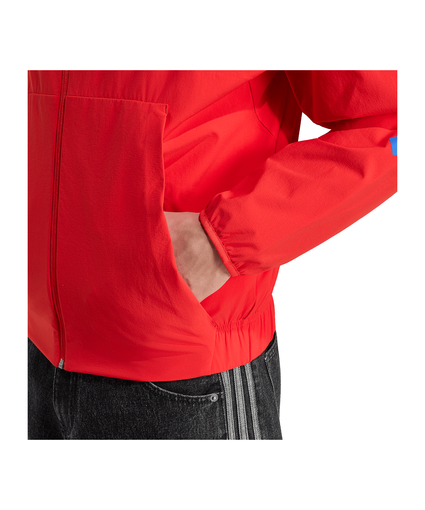 adidas FC Bayern München Anthem Jacke Rot - rot