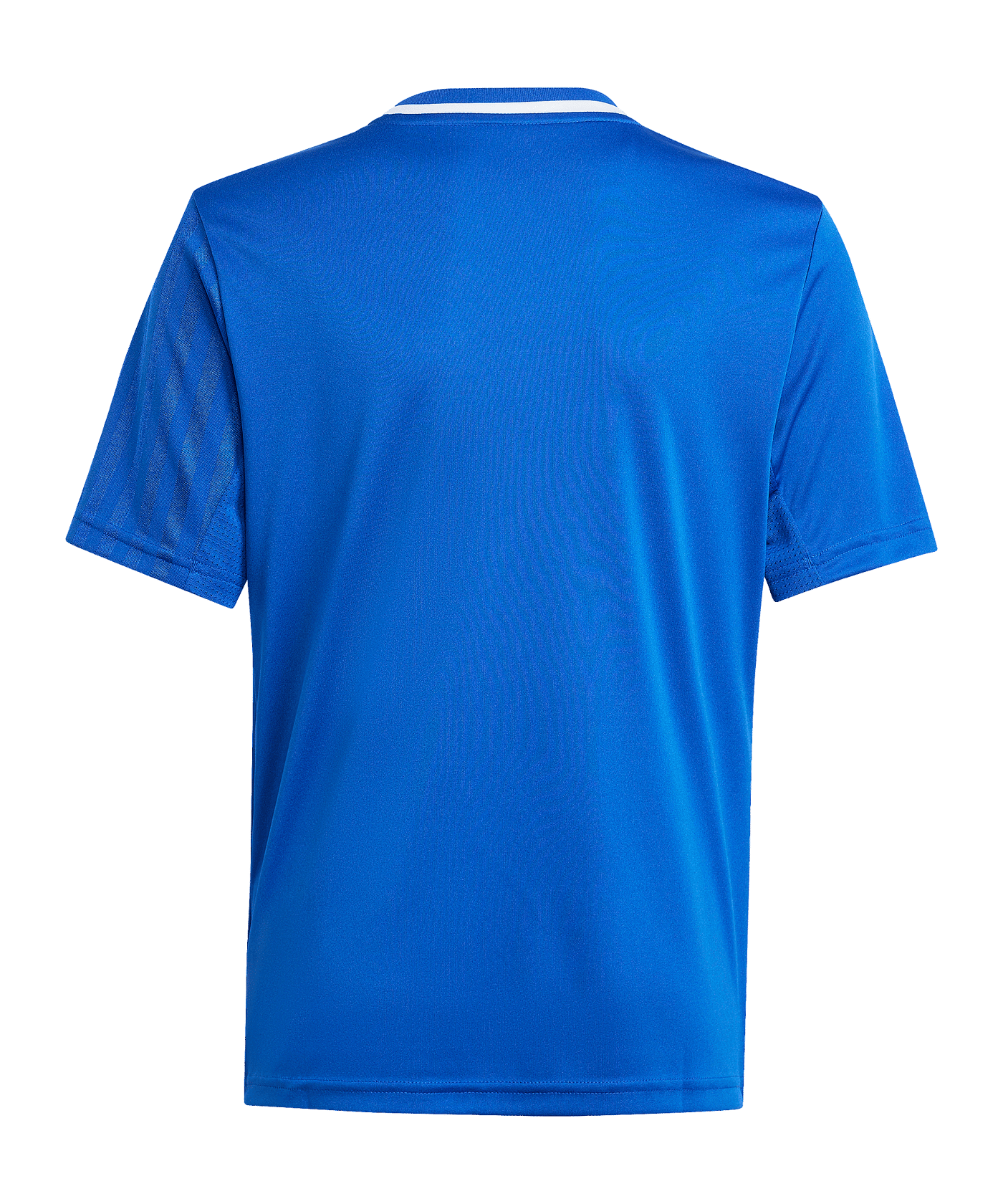 adidas Campeon 25 Trikot Kids Blau | - blau