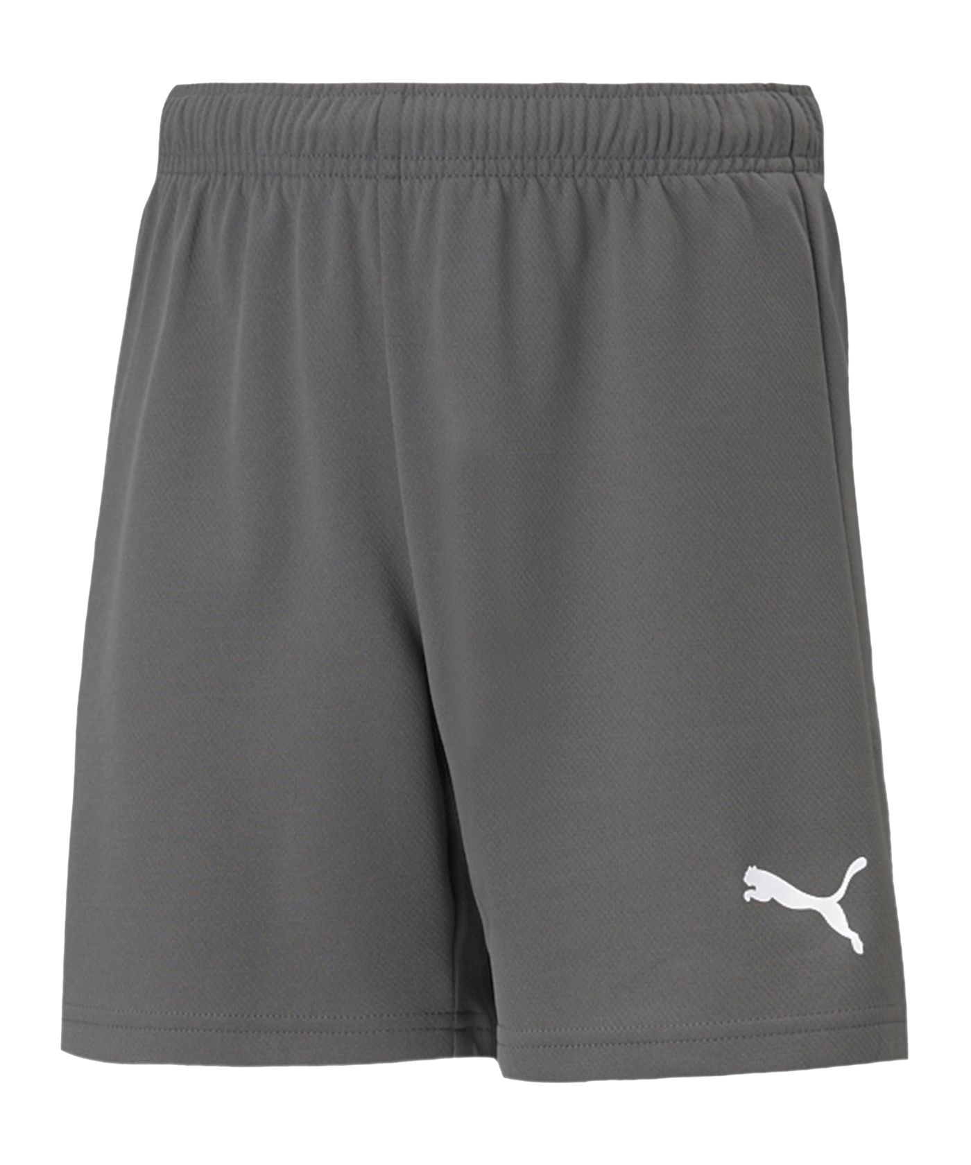 PUMA teamRISE Short Kids Grau Weiss F13 - grau