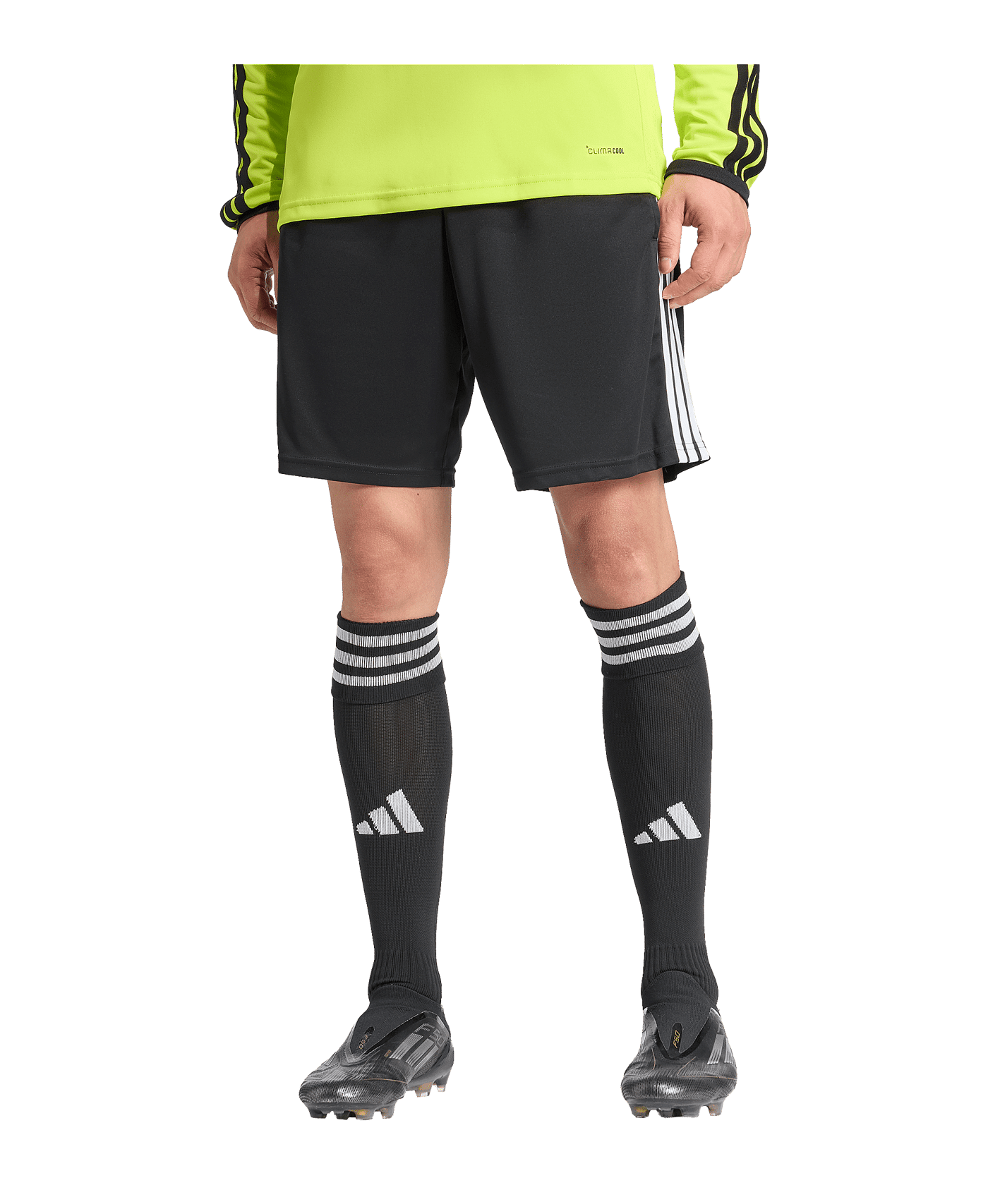 adidas 26 Schiedsrichtershorts Schwarz - schwarz