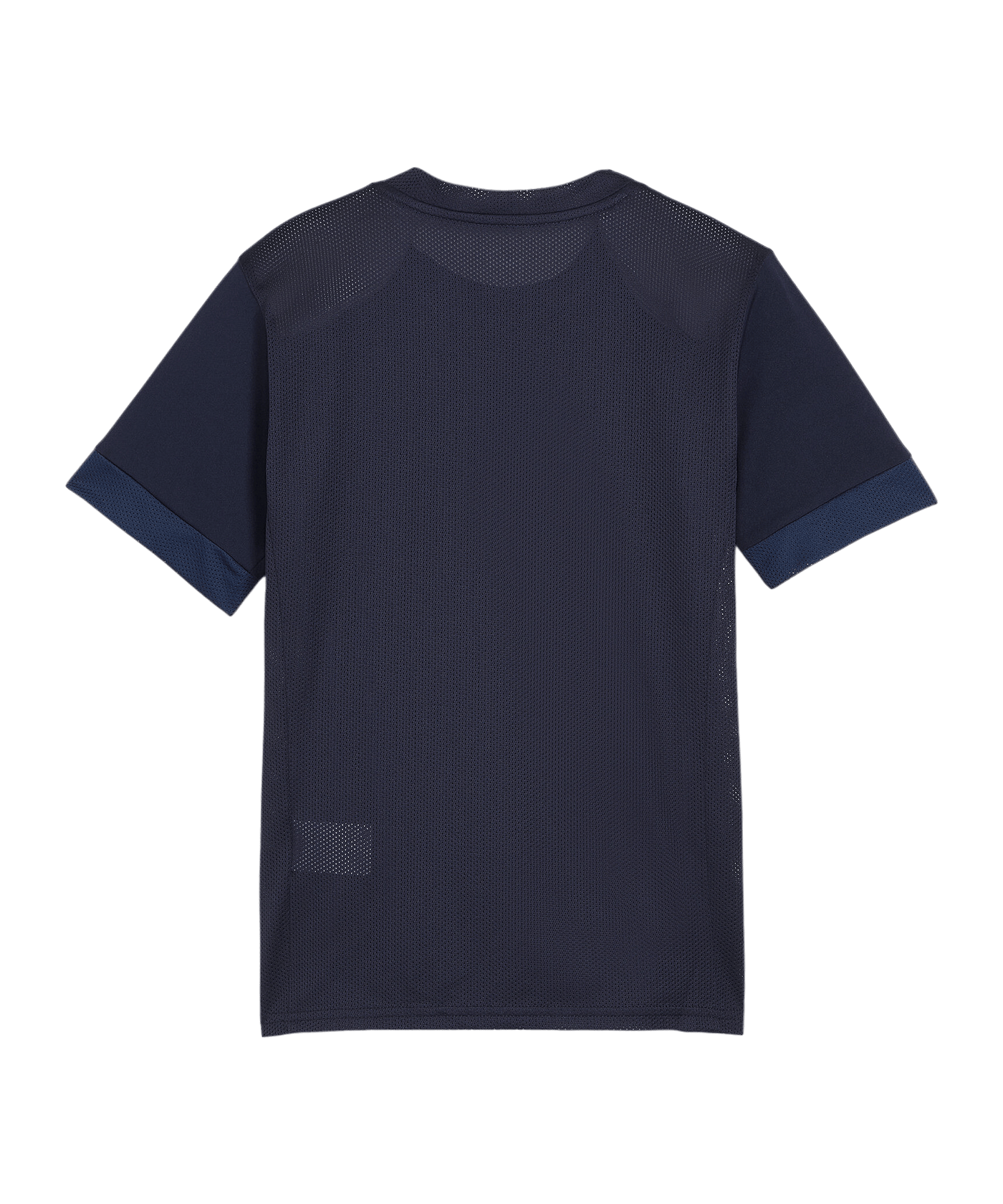 PUMA teamGOAL Matchday Trikot Kids Blau Weiss F06 - blau
