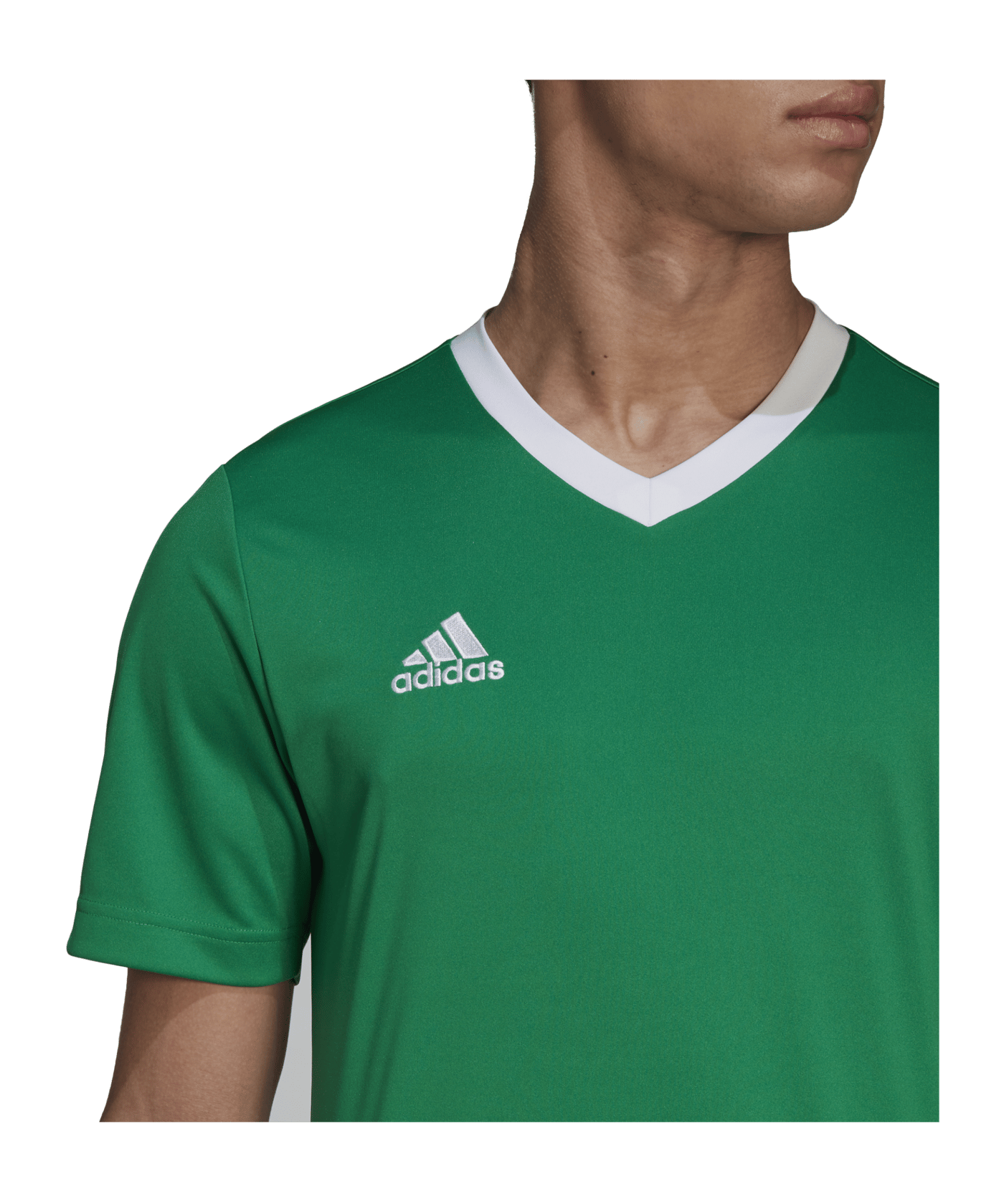 adidas Entrada 22 Trikot | Grün - gruen