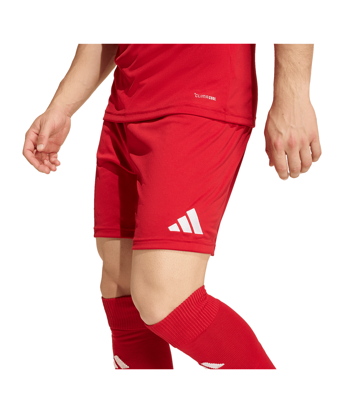 adidas Entrada 26 Short Rot - rot